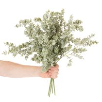 kohteita Keinotekoinen eukalyptusoksa, koristeellinen oksa maljakoihin ja kimppuihin, 49 cm, 4 kpl