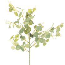 kohteita Keinotekoinen eukalyptusoksa pyöreillä lehdillä, 75 cm, 4 kpl