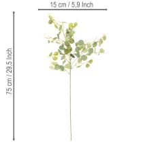 kohteita Keinotekoinen eukalyptusoksa pyöreillä lehdillä, 75 cm, 4 kpl