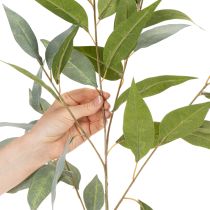 kohteita Keinotekoinen eukalyptusoksa, luonnonvihreä, koriste, 100 cm