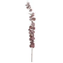 kohteita Eukalyptuksen oksia, säilöttyä eukalyptusta, kuivattuja kukkia, punainen, 75 cm, 150 g