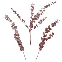 kohteita Eukalyptuksen oksia, säilöttyä eukalyptusta, kuivattuja kukkia, punainen, 75 cm, 150 g