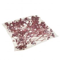 kohteita Eukalyptuksen oksat, punaiset huurteiset, luonnonmukaiset koristeet, eksoottiset, 25 kpl