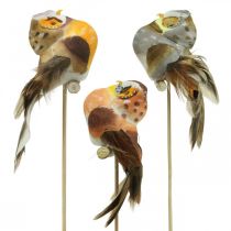 Deco plug pöllö, kukkakoristeet, pöllö höyhenillä H5,5cm 6kpl