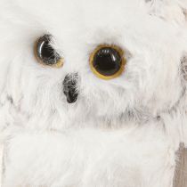 kohteita Pöllökoristeet pöllöfiguurit ripustettavaksi valkoharmaa 6cm 4kpl
