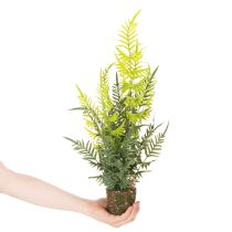 kohteita Keinotekoinen saniaiskasvi juuripaakkuineen kodin ja toimiston sisustukseen, 57 cm