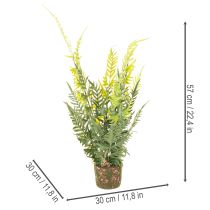 kohteita Keinotekoinen saniaiskasvi juuripaakkuineen kodin ja toimiston sisustukseen, 57 cm