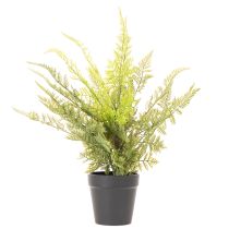 kohteita Keinotekoinen saniainen ruukussa sisäkasveihin, 40 cm