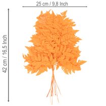 kohteita Kuivattuja ja säilöttyjä saniaisenlehtiä kukkakauppoihin ja syyskoristeisiin, 42 cm, 10 kpl
