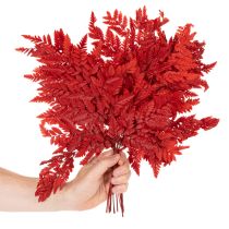 kohteita Säilötyt ja värjätyt saniaisenlehdet, aito saniaiset syysasetelmiin, 42 cm, 10 kpl