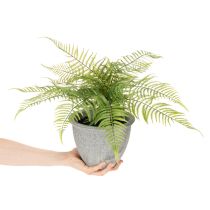 kohteita Keinotekoinen saniainen ruukussa olohuoneeseen ja toimistoon, 35 cm