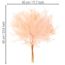kohteita Kuivattuja saniaisia, saniaisten koriste maljakoihin, 60 cm, 10 kpl