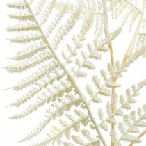 Koristeellinen saniainen, tekokasvi, saniaisen oksa, koristeellinen saniainen lehti valkoinen L59cm
