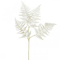 Koristeellinen saniainen, tekokasvi, saniaisen oksa, koristeellinen saniainen lehti valkoinen L59cm