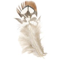 kohteita Fasaanin höyhenet askarteluun, ruskeatäpläiset, 4-9 cm, 60 kpl