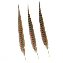 Fasaanihöyhenet koristelu Real Feathers Natural 40cm 9kpl