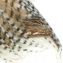 kohteita Metsäpöllö, Syksyn koriste, Koristeellinen pöllö, Halloween H16cm