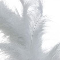 Höyhenseppele valkoinen Ø20cm Deco Seppele Spring Real Feathers 3kpl