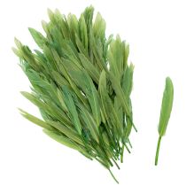 kohteita Koristeelliset höyhenet tyylikkääseen tunnelmaan ja näyttäviin koristeisiin 10 cm