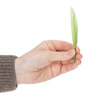 kohteita Koristeelliset höyhenet tyylikkääseen tunnelmaan ja näyttäviin koristeisiin 10 cm