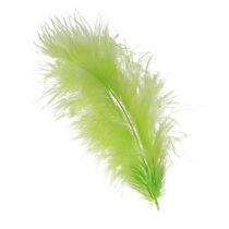 kohteita Höyhenet askarteluun vaaleanvihreällä höyhenkoristeella 5-10cm 20g