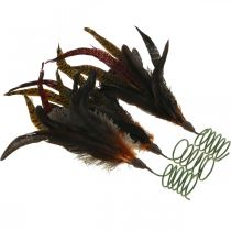 kohteita Värikäs höyhenkoriste lankajousijousikoriste H35cm 3kpl