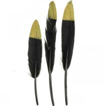 Koristehöyhenet mustat, kultaiset aidot käsityöhöyhenet 12-14cm 72p
