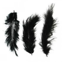 Feathers Black Aidot lintujen höyhenet askarteluun Kevätkoristeita 20g