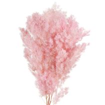 kohteita Höyhenparsa Dry Decoration Parsa Pinkki 55-70cm 100g