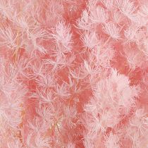 kohteita Höyhenparsa Dry Decoration Parsa Pinkki 55-70cm 100g