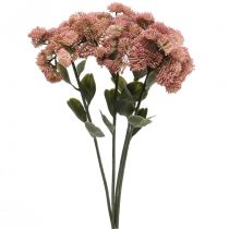 kohteita Stonecrop Pink Sedum Stonecrop tekokukat K48cm 4kpl