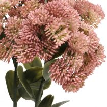 kohteita Stonecrop Pink Sedum Stonecrop tekokukat K48cm 4kpl