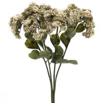 Stonecrop kerma sedum stonecrop tekokukat 48cm 4kpl