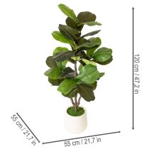kohteita Keinotekoinen Ficus lyrata 120 cm koriste olohuoneeseen