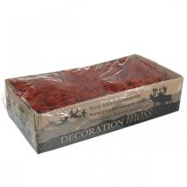 kohteita Koristesammaleenpunainen Siena Luonnonsammale askarteluun kuivattu, värjätty 500g