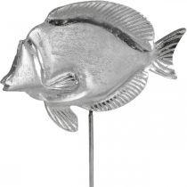 Koristekalat, merikoristeet, kala metalli hopeaa, luonnonvärit H28,5cm
