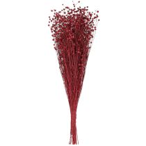kohteita Pellava Bordeaux'n punainen kuivattu koristekukat P55cm 80g