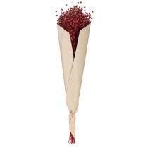 kohteita Pellava Bordeaux'n punainen kuivattu koristekukat P55cm 80g