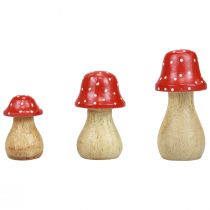 Perhoheltasienet koristesienet puiset sienet syyskoristeet H6/8/10cm 3 kpl setti