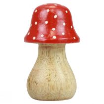 kohteita Kärpässieni-koristeet, puiset sienet, syyskoriste, K6/8/10cm, 3 kpl