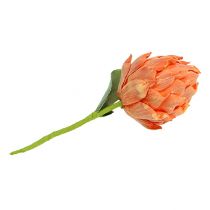 kohteita Vaahto-artisokka oranssi 14cm L28cm 1p