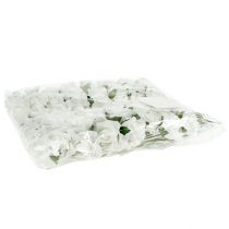 kohteita Foam Rose Ø 3,5cm valkoinen 48 kpl