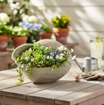 kohteita Keraaminen kulho simpukkakuviolla tyylikkääseen olohuoneen sisustukseen, 23 cm