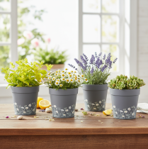 kohteita Kukkaruukku kukkakuviolla moderniin kotiin ja kesäparvekkeen sisustukseen, 13 cm, 4 kpl