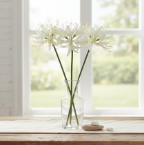 kohteita Nerine Guernsey Lily tekokukka Valkoinen Keltainen Ø15cm L65cm