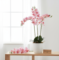 kohteita Orchid Phalaenopsis keinotekoiset 9 kukkaa vaaleanpunainen valkoinen 96cm