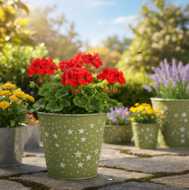 kohteita Hopeanvihreä istutusruukku, metallinen kukkaruukku tähdillä, Ø14cm