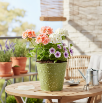 kohteita Metallinen kukkaruukku, tähdet, vihreä ja hopea, Ø16cm