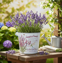 kohteita Metallinen istutusastia, kukkaruukku, laventeli, Ø21cm, korkeus 18cm