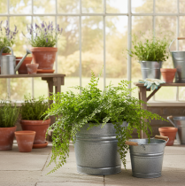 kohteita Vintage koristeellinen metallinen ämpäri-istutusastia/ruukku, Ø22cm, korkeus20cm